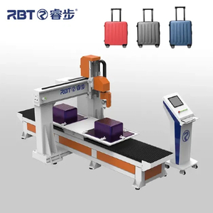 luggage (1).jpg